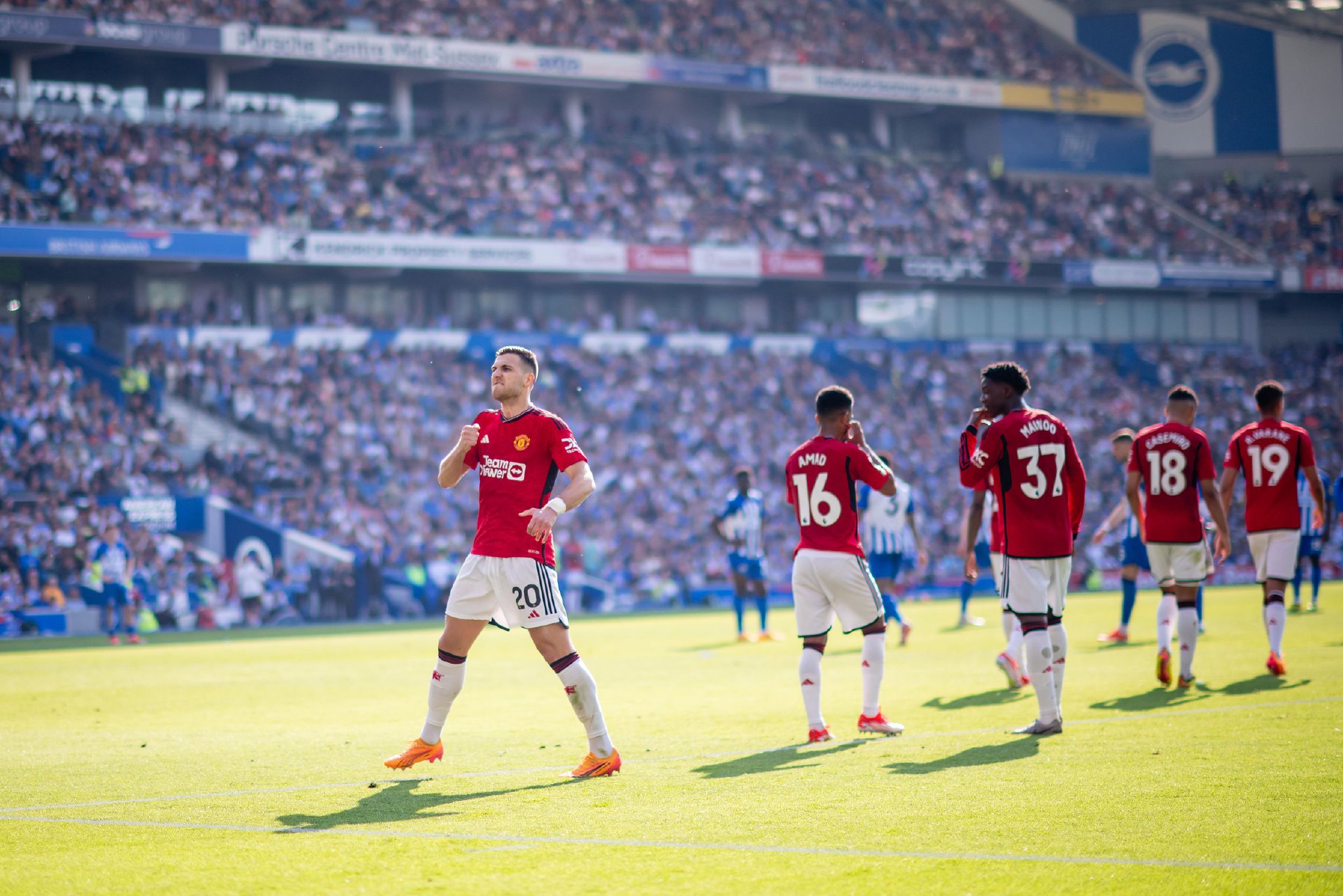 仅展现了球 仅展现了球