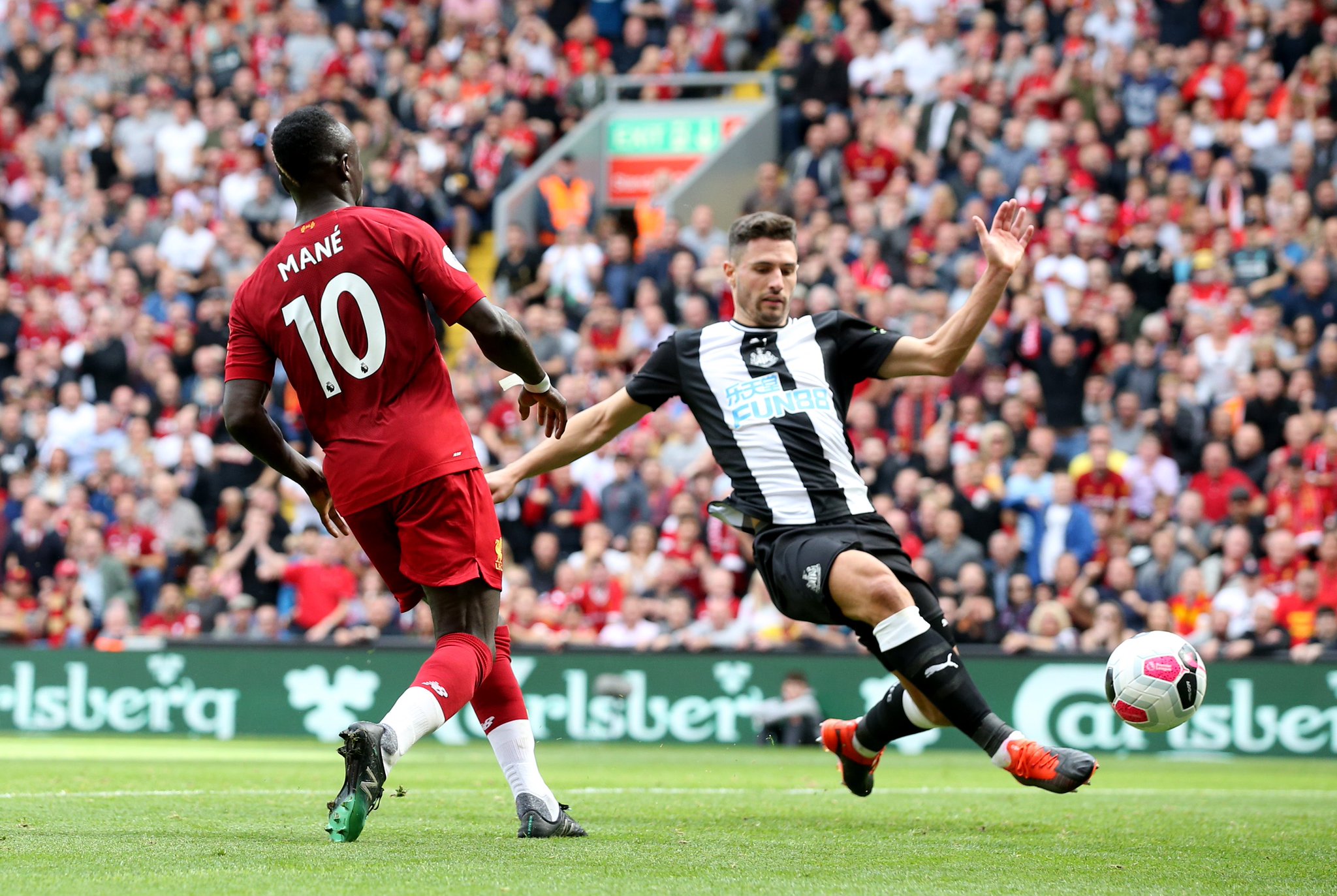 这位新星的 这位新星的